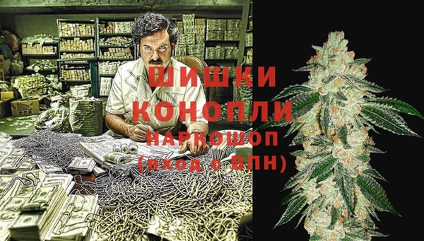 mix Гусиноозёрск