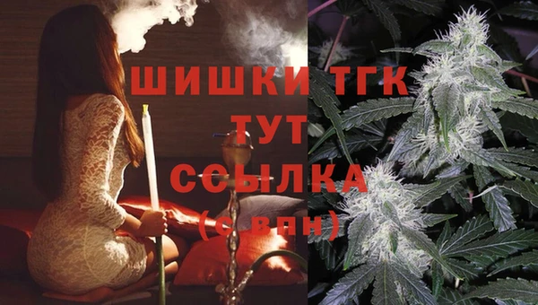 mix Гусиноозёрск