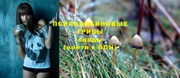 кристаллы Гусь-Хрустальный