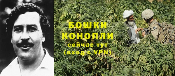 mix Гусиноозёрск