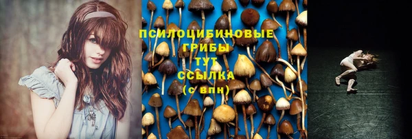меф Гусев