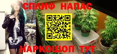 прущие крисы Лесосибирск