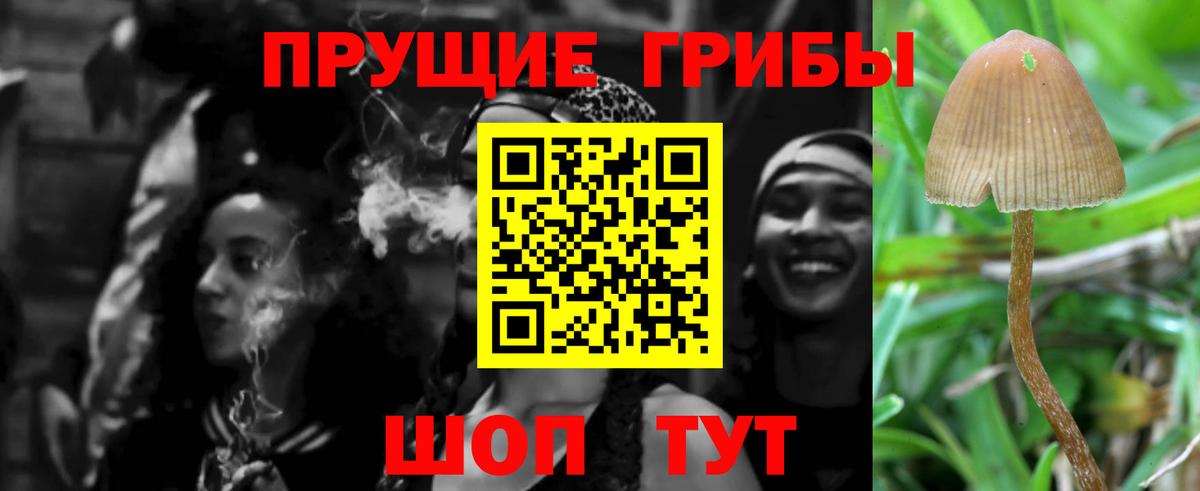 закладка  Псилоцибиновые грибы GOLDEN TEACHER  Вход с VPN  Кострома 